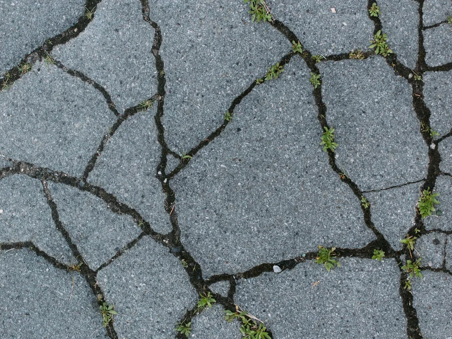 Cracked or Lifted Sidewalk: Repair It, or Replace the Section?