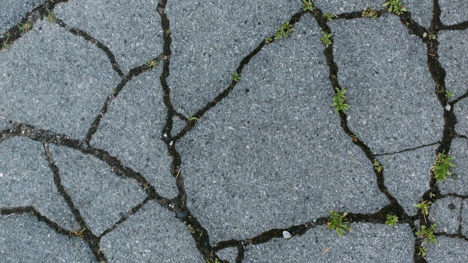 Cracked or Lifted Sidewalk: Repair It, or Replace the Section?