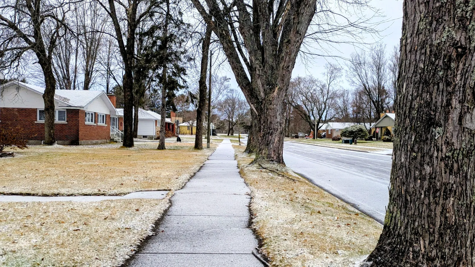 Concrete Sidewalks & Walkways