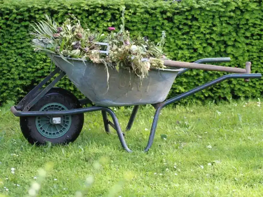 Garden Maintenance