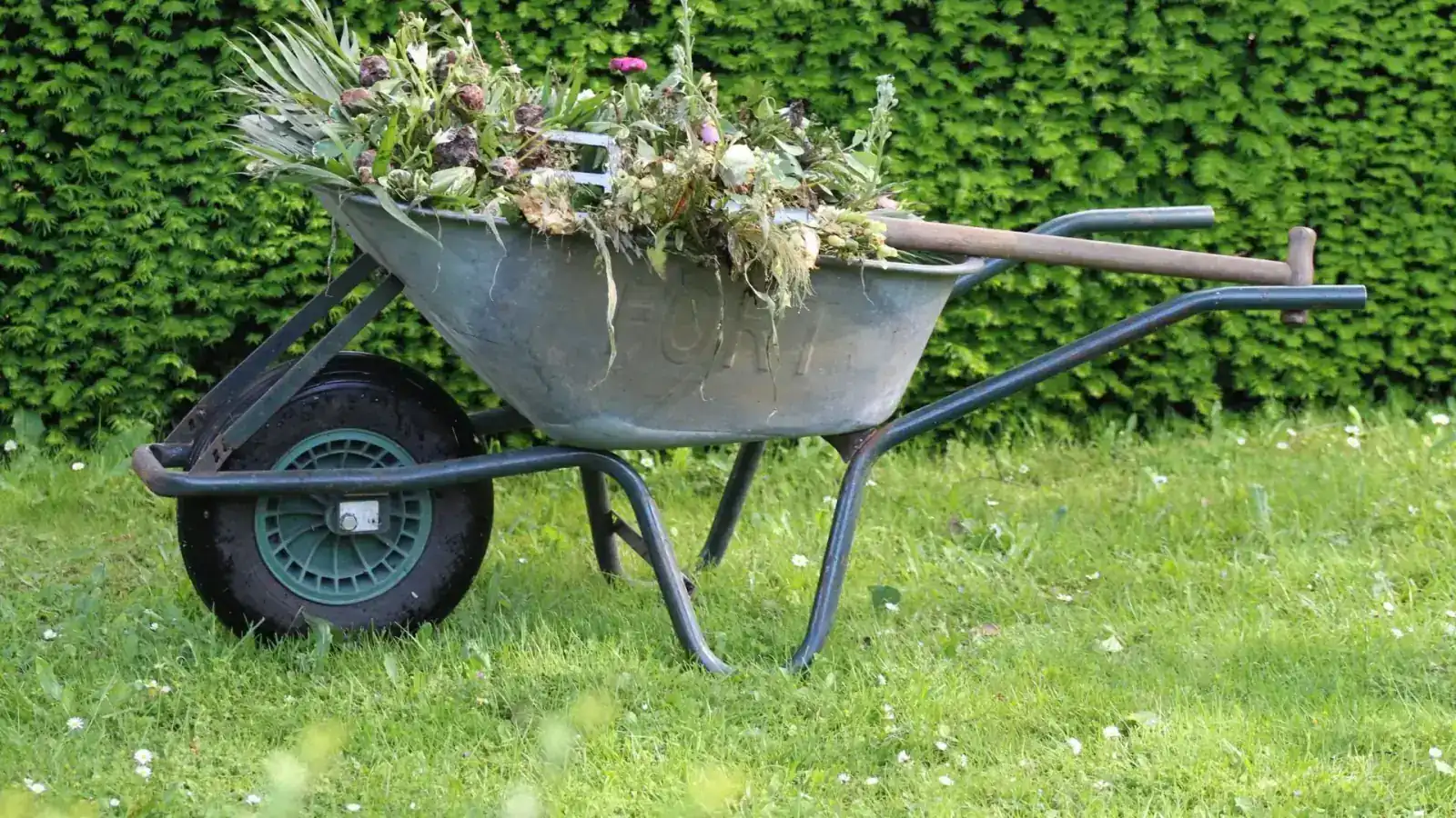 Garden Maintenance
