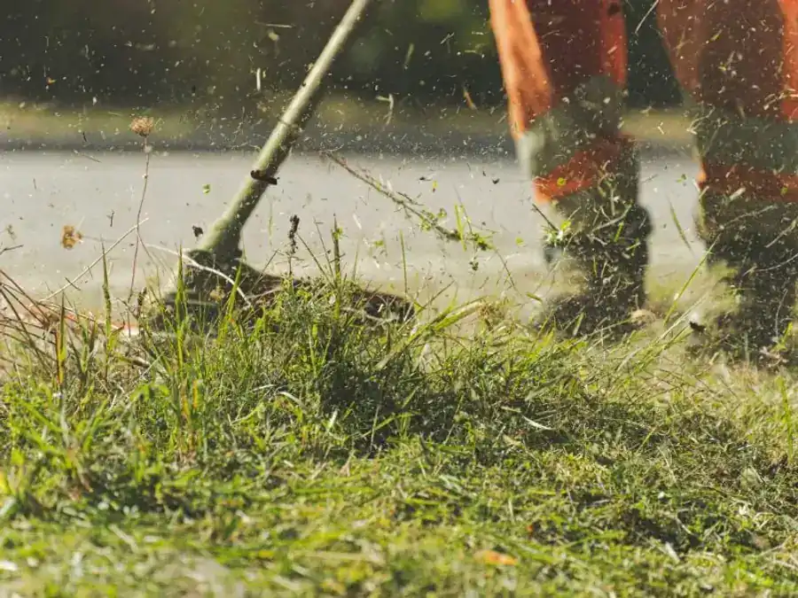 Lawn Care
