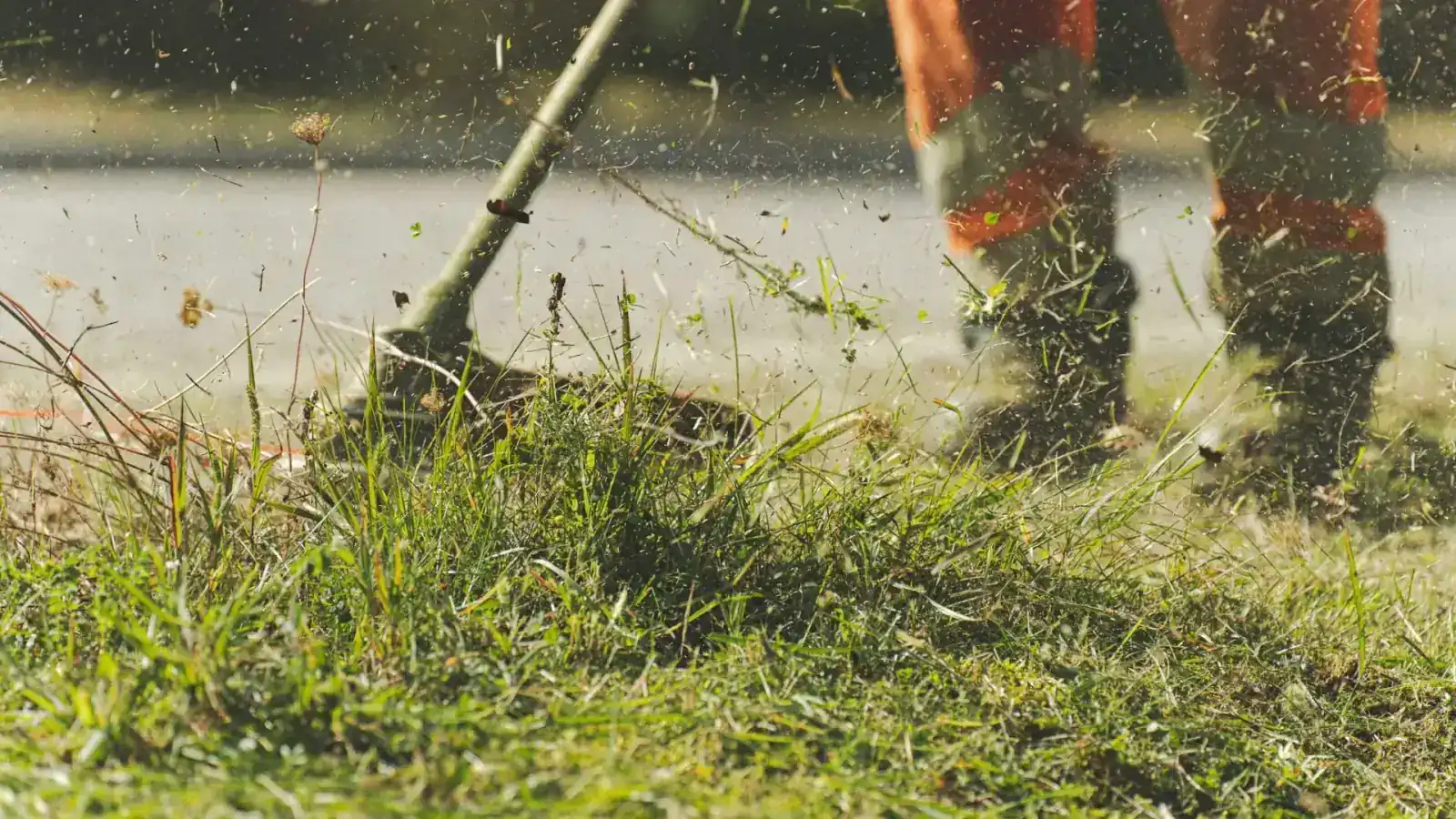 Lawn Care